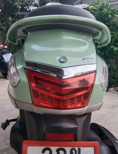 New Green Grand Filano - back